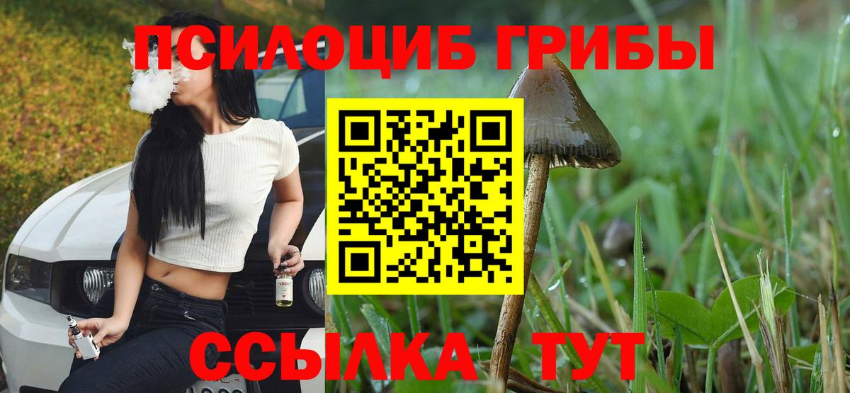 Псилоцибиновые грибы мицелий Лабытнанги